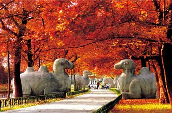 上海汽車南站到湖州的汽車時刻表是怎樣的？最